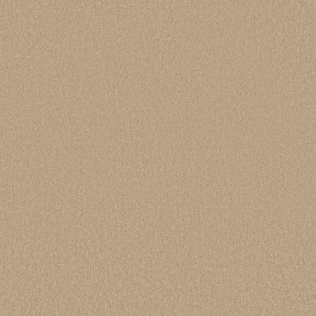 Shaw Floors Sandy Hollow I 12' Cashew