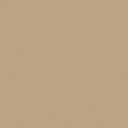 Shaw Floors Sandy Hollow I 12' Marzipan