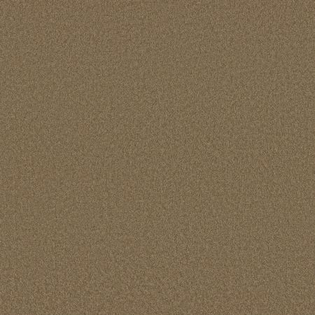 Shaw Floors SFA Born Better (S) Light Herb