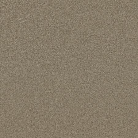 Shaw Floors Sandy Hollow I 12' Chinchilla