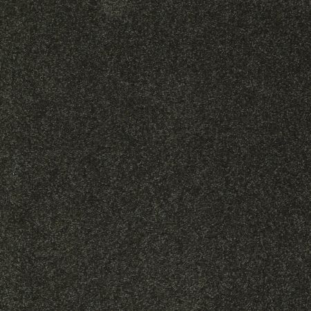 Shaw Floors SFA Shingle Creek I 12 Lilly Pad