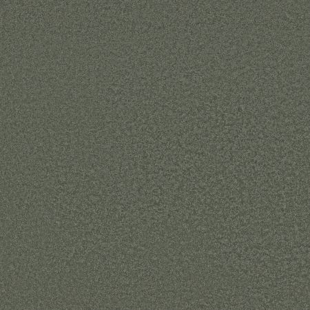 Shaw Floors SFA Shingle Creek I 12 Bahama Bay