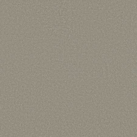 Shaw Floors SFA Born Better (S) Stingray