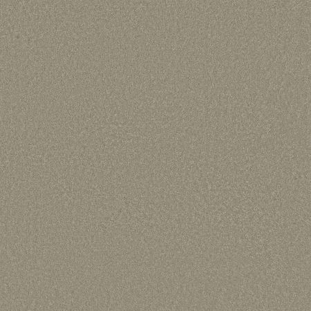 Shaw Floors SHAW FLOORING GALLERY Truly Modern I 12' London Fog