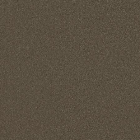 Shaw Floors SFA Shingle Creek I 12 Castle Rock