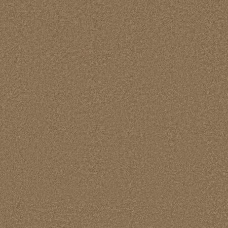 Shaw Floors SFA Born Better (S) Mocha Ice