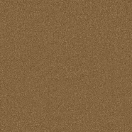 Shaw Floors SFA Born Better (S) Safari