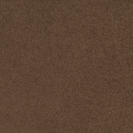 Shaw Floors SFA Born Better (S) Fence Post