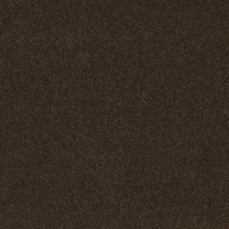 Shaw Floors SFA Born Better (S) Buckeye