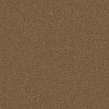 Shaw Floors SFA Shingle Creek I 12 Windmill