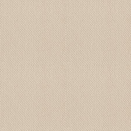 Shaw Floors SFA Sincere Beauty Loop China Pearl