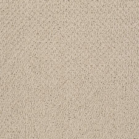 Shaw Floors FOUNDATIONS Smart Thinking Safari