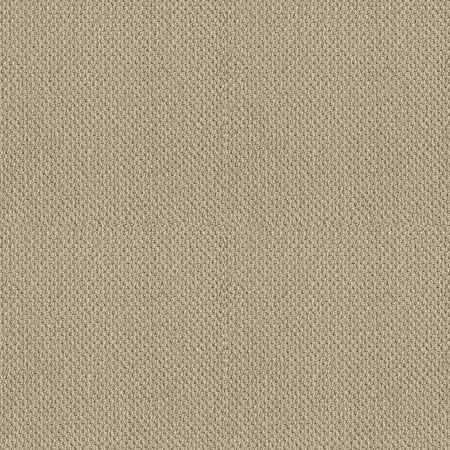 Shaw Floors SFA Sincere Beauty Loop French Linen