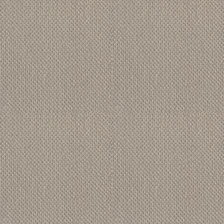 Shaw Floors SFA Artist View Loop Textured Canvas