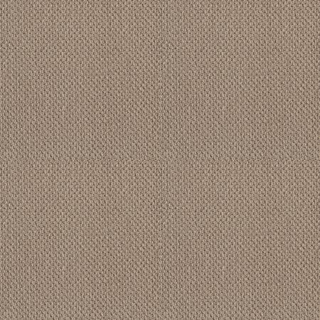 Shaw Floors SFA Artist View Loop Latté