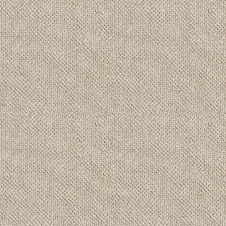 Shaw Floors FOUNDATIONS Smart Thinking Alabaster