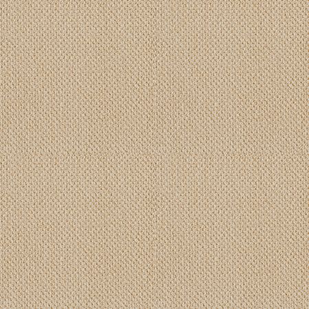 Shaw Floors SFA Danger Zone First Sap