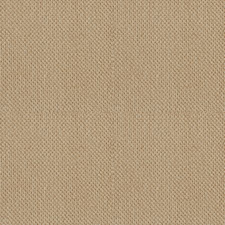 Shaw Floors SFA Artist View Loop Mesa