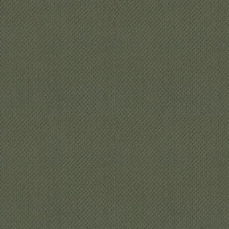 Shaw Floors FOUNDATIONS Smart Thinking Lush Garden