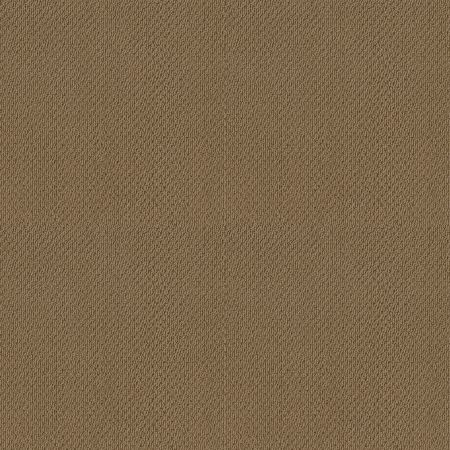 Shaw Floors SFA Danger Zone Safari