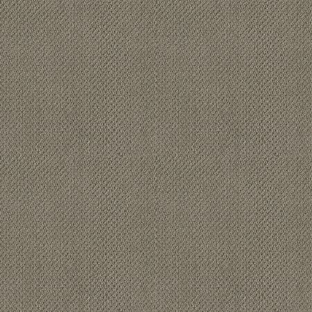 Shaw Floors FOUNDATIONS Smart Thinking Mocha