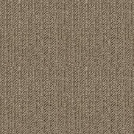 Shaw Floors SFA Artist View Loop Cappuccino