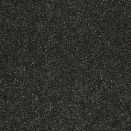 Shaw Floors SFA Shingle Creek Ii 12' Lilly Pad