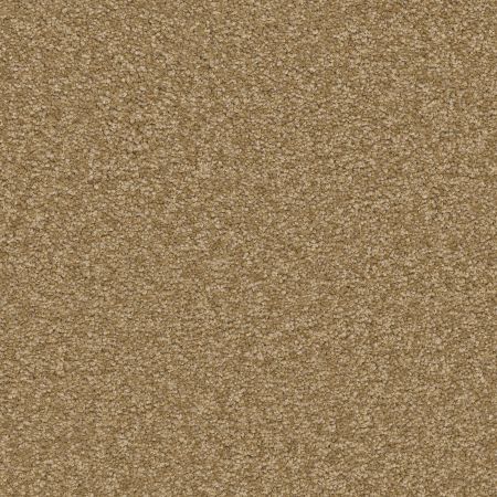 Shaw Floors SHAW FLOORING GALLERY Truly Modern Ii 12' Muffin