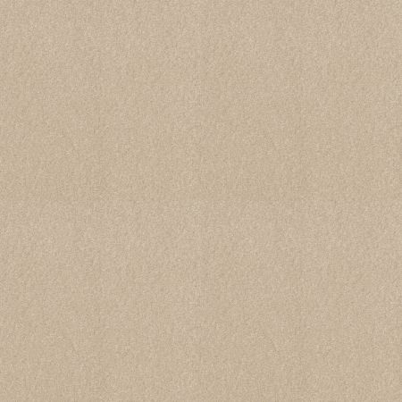 Shaw Floors Sandy Hollow III 12' Pudding