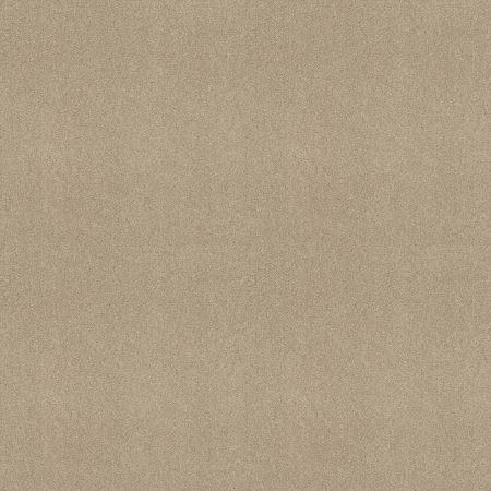 Shaw Floors Magic At Last III 12' Quartz