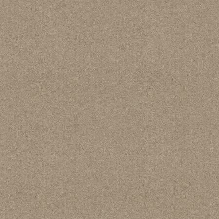 Shaw Floors SHAW FLOORING GALLERY Truly Modern III 12' Soft Shadow