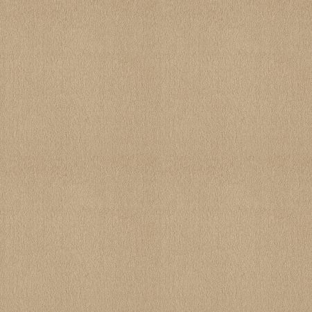 Shaw Floors SHAW FLOORING GALLERY Truly Modern III 12' Cashew