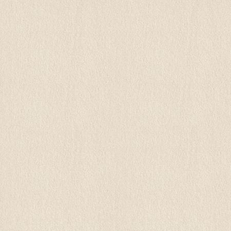 Shaw Floors SHAW FLOORING GALLERY Truly Modern III 12' Sweet Cream