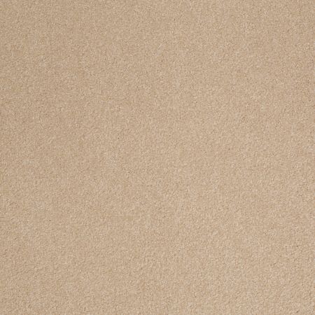Shaw Floors SHAW FLOORING GALLERY Truly Modern III 12' Stucco