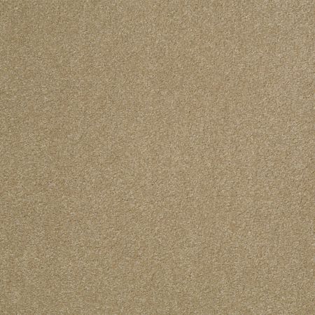 Shaw Floors SFA Shingle Creek III 12' Sahara