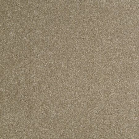 Shaw Floors SHAW FLOORING GALLERY Truly Modern III 12' Chinchilla