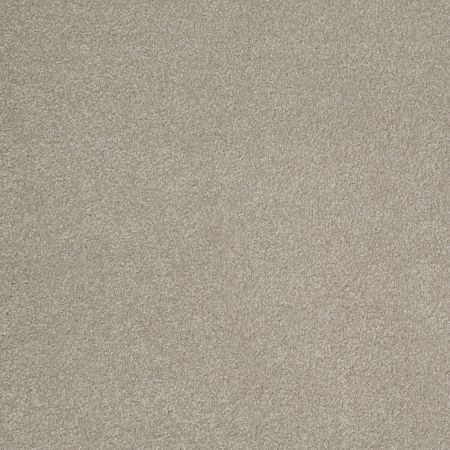 Shaw Floors SFA Shingle Creek III 12' London Fog