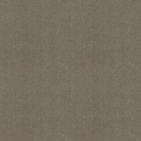 Shaw Floors SFA Shingle Creek III 12' Wood Smoke