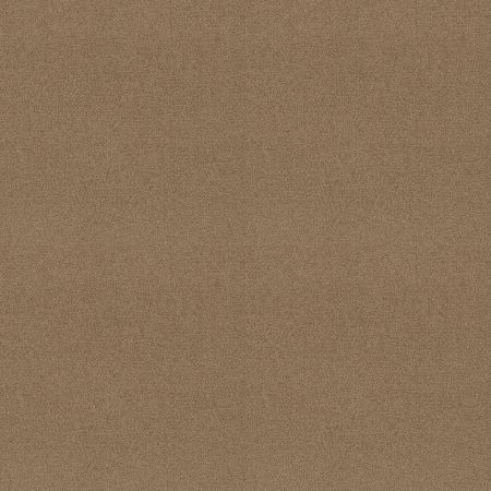 Shaw Floors SHAW FLOORING GALLERY Truly Modern III 12' Muffin