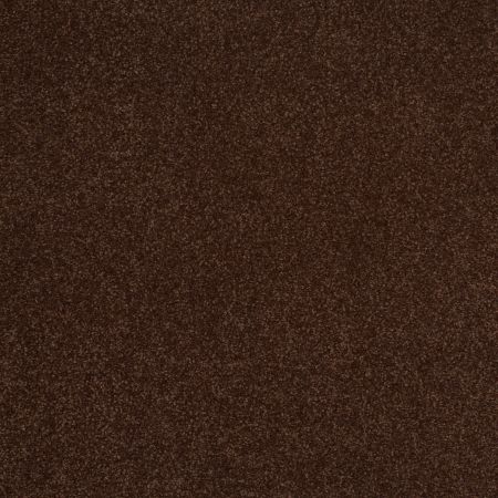 Shaw Floors SFA Shingle Creek III 12' Coffee Bean