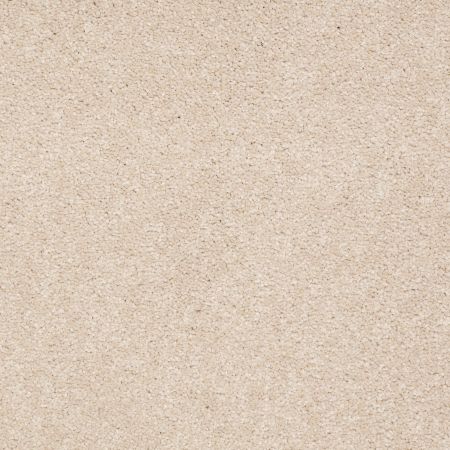 Shaw Floors SHAW FLOORING GALLERY Truly Modern I 15' Cashew