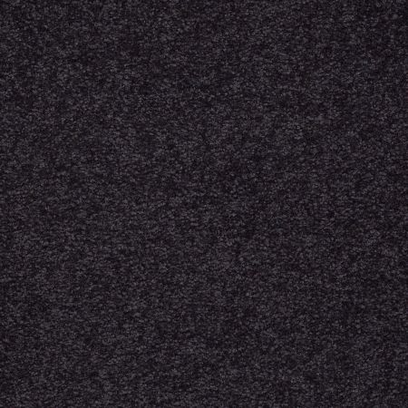 Shaw Floors SHAW FLOORING GALLERY Truly Modern I 15' Graphite