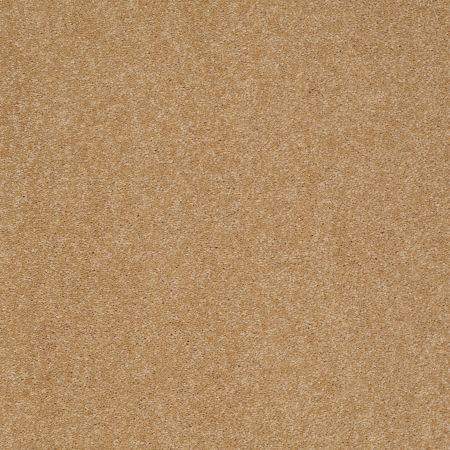 Shaw Floors SFA Shingle Creek I 15 Cork