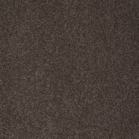 Shaw Floors SFA Shingle Creek II 15' Arrowhead