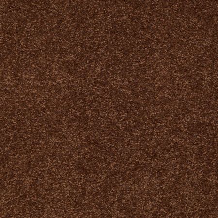 Shaw Floors SFA Shingle Creek II 15' Tortoise Shell