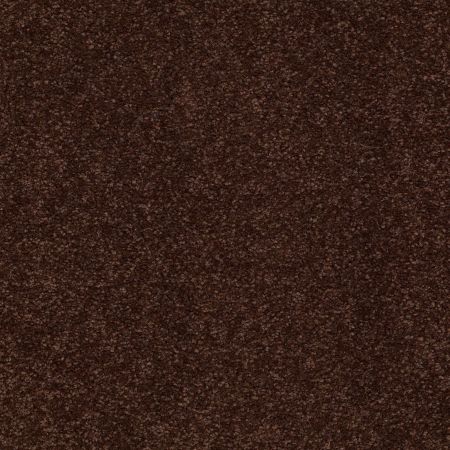 Shaw Floors SFA Shingle Creek II 15' Coffee Bean