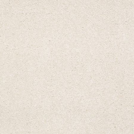 Shaw Floors SHAW FLOORING GALLERY Truly Modern III 15' Mushroom