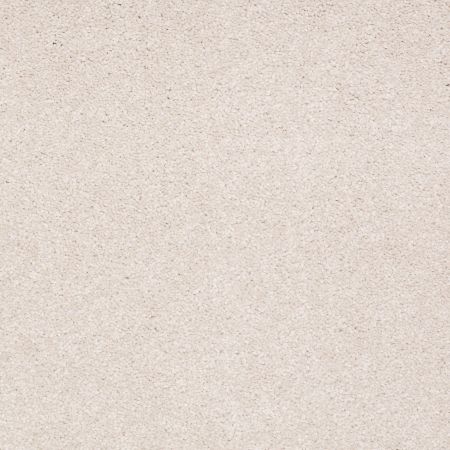 Shaw Floors SHAW FLOORING GALLERY Truly Modern III 15' Pudding