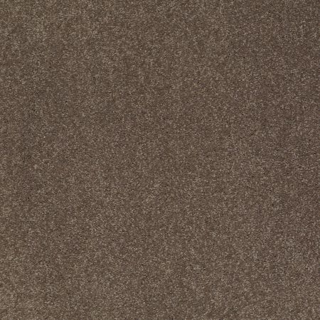 Shaw Floors SFA Shingle Creek III 15' Castle Rock