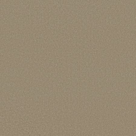 Shaw Floors Magic At Last IV 12 Balanced Beige